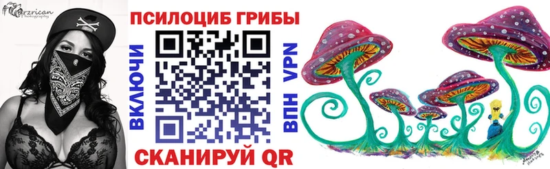 OMG как войти  Энгельс  Псилоцибиновые грибы Psilocybine cubensis 