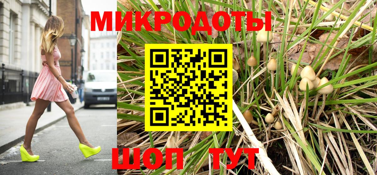 Псилоцибиновые грибы мицелий Энгельс