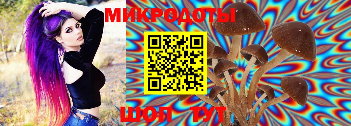 Галлюциногенные грибы Magic Shrooms  хочу наркоту  Энгельс  Вход с VPN 